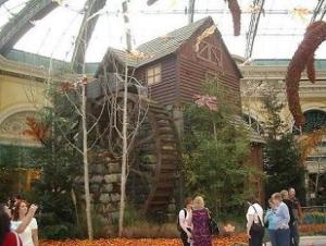 Fall Harvest at Bellagio Conservatory, Bellagio Conservatory, Bellagio Las Vegas, Bellagio Hotel & Casino Las Vegas, Bellagio Resort & Casino Las Vegas, Bellagio Hotel & Casino, Bellagio Resort & Casino, Bellagio Conservatory & Botanical Garden, Bellagio Botanical Garden, Las Vegas Boulevard, Las Vegas, Las Vegas Strip, Mlife, MGM Resorts, Steve Wynn