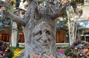 Fall Harvest at Bellagio Conservatory, Bellagio Conservatory, Bellagio Las Vegas, Bellagio Hotel & Casino Las Vegas, Bellagio Resort & Casino Las Vegas, Bellagio Hotel & Casino, Bellagio Resort & Casino, Bellagio Conservatory & Botanical Garden, Bellagio Botanical Garden, Las Vegas Boulevard, Las Vegas, Las Vegas Strip, Mlife, MGM Resorts, Steve Wynn