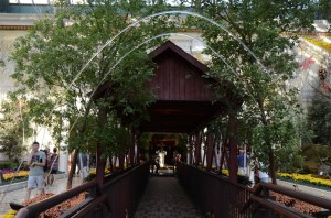 Fall Harvest at Bellagio Conservatory, Bellagio Conservatory, Bellagio Las Vegas, Bellagio Hotel & Casino Las Vegas, Bellagio Resort & Casino Las Vegas, Bellagio Hotel & Casino, Bellagio Resort & Casino, Bellagio Conservatory & Botanical Garden, Bellagio Botanical Garden, Las Vegas Boulevard, Las Vegas, Las Vegas Strip, Mlife, MGM Resorts, Steve Wynn