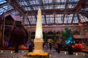 Fall Harvest at Bellagio Conservatory, Bellagio Conservatory, Bellagio Las Vegas, Bellagio Hotel & Casino Las Vegas, Bellagio Resort & Casino Las Vegas, Bellagio Hotel & Casino, Bellagio Resort & Casino, Bellagio Conservatory & Botanical Garden, Bellagio Botanical Garden, Las Vegas Boulevard, Las Vegas, Las Vegas Strip, Mlife, MGM Resorts, Steve Wynn
