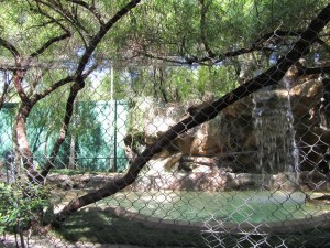 Siegfried & Roy's Secret Garden and Dolphin Habitat, Siegfried & Roy's Secret Garden at Mirage Las Vegas, Dolphin Habitat at Mirage Las Vegas, Trainer for a day at Mirage Las Vegas, Mirage Hotel & Casino Las Vegas, Mirage Las Vegas, Siegfried & Roy, Siegfried & Roy Las Vegas, Siegfried & Roy at Mirage Las Vegas, Siegfried & Roy's Secret Garden and Dolphin Habitat Las Vegas, Las Vegas Strip, Las Vegas Boulevard