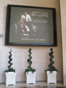 The Palazzo Las Vegas, The Palazzo Resort & Casino, The Palazzo Resort & Casino Las Vegas, The Palazzo Hotel, The Palazzo Casino Las Vegas, Las Vegas Strip, Las Vegas Boulevard, Las Vegas Sands, Slots, Slotmachines, Videpoker, poker, Blackjack, Roulette, Baccarat, Sports Book, Gaming, Gambling